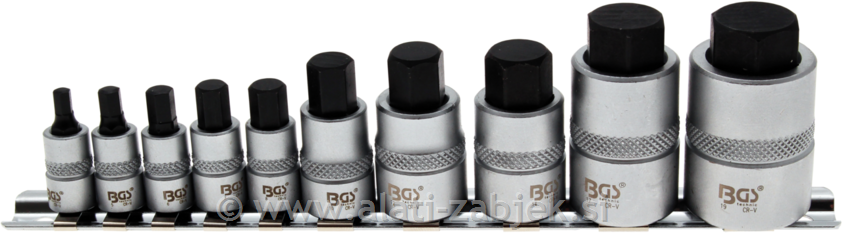 10-dijelni set nasadnih ključeva s bit nastavcima 1/4 “ 3/8 " 1/2 “ 4 - 19 mm BGS TECHNIC