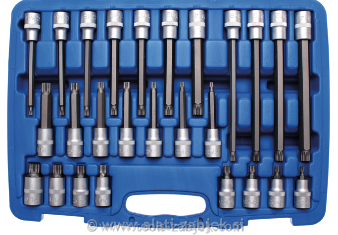 26-dijelni set nasadnih bit ključeva XZN1/2" M4 - M16 BGS TECHNIC