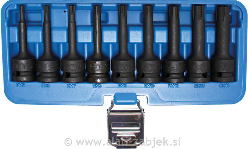 9-dijelni set nasadnih ključeva RIBE 1/2" M5 - M14 BGS TECHNIC