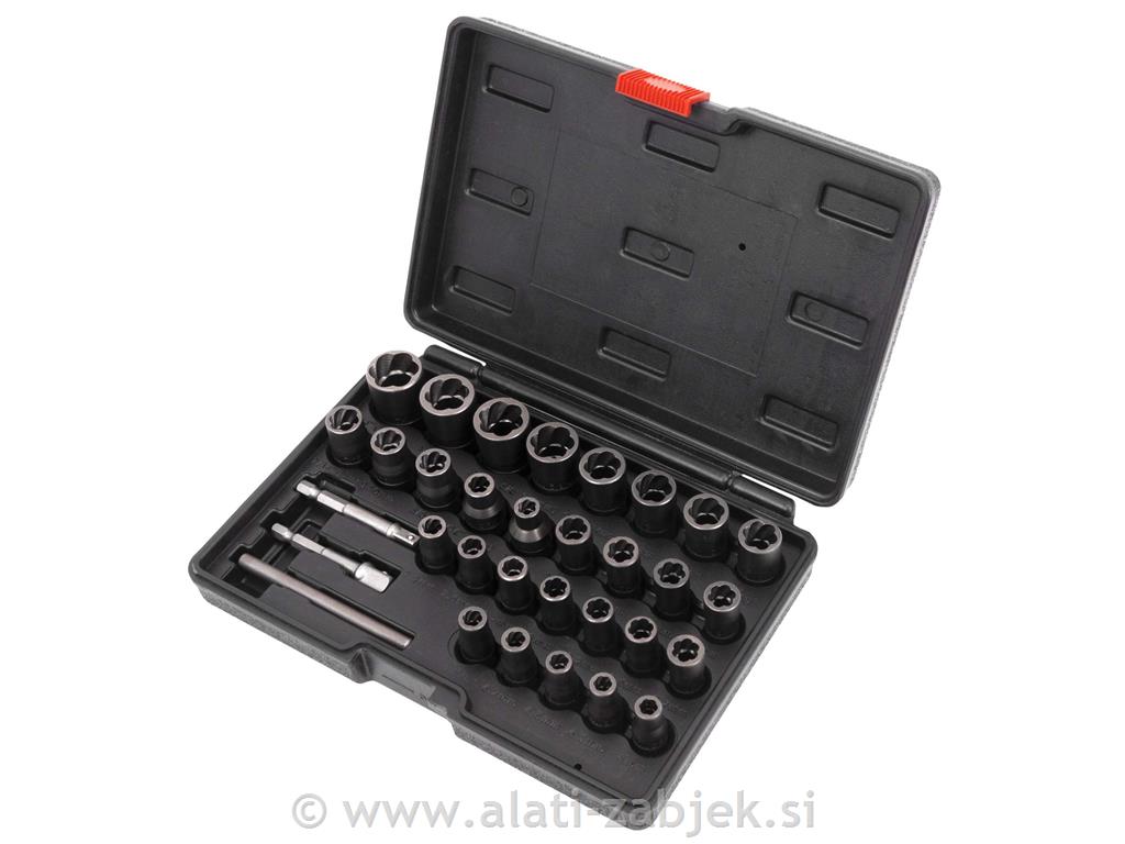 30-delni set za odstranjevanje poškodovanih vijakov in matic WELZH